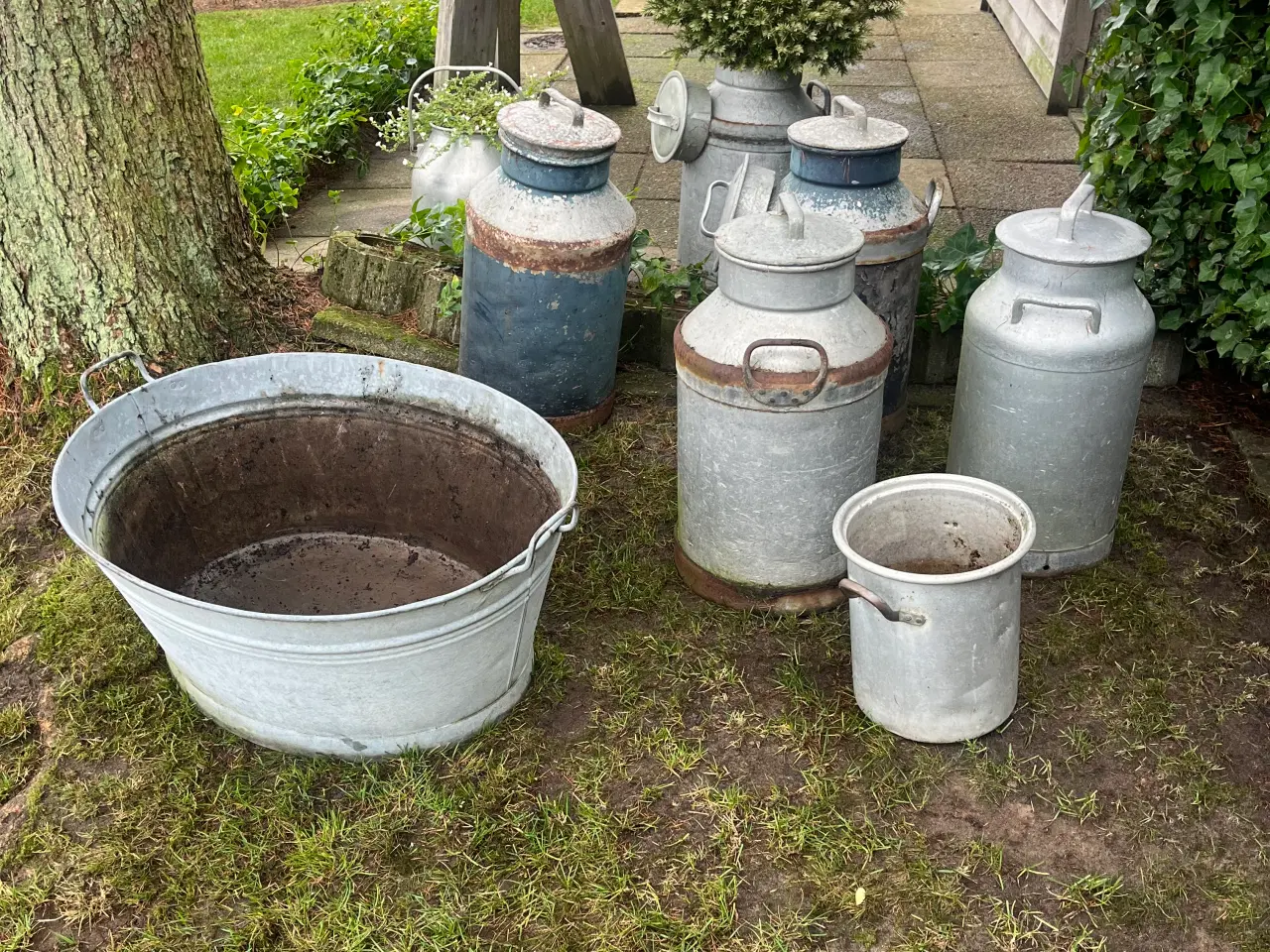 Billede 3 - Mælkejunger og zinkbalje 