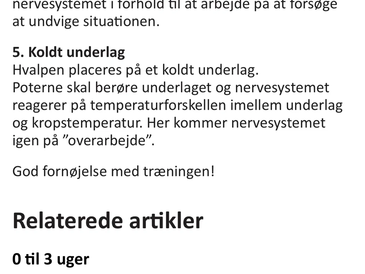 Billede 5 - Søger du en rigtig bamse 
