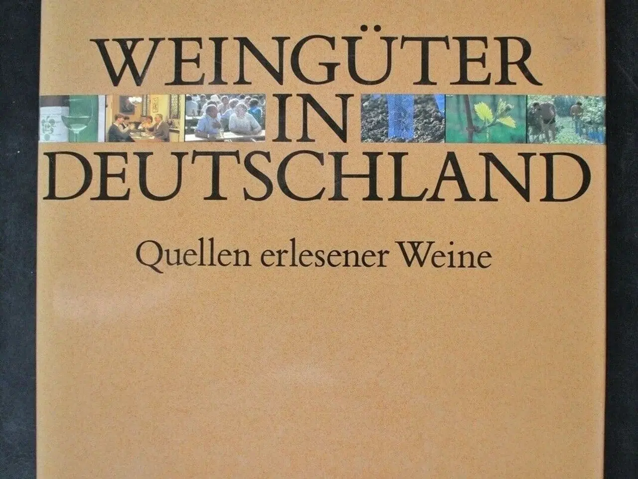 Billede 1 - weingüter in deutschland -quellen erlesener weine,