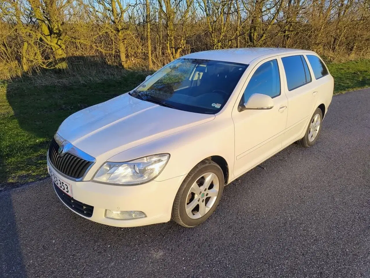 Billede 1 - 2013 Škoda Octavia combi tdi - Nysynet