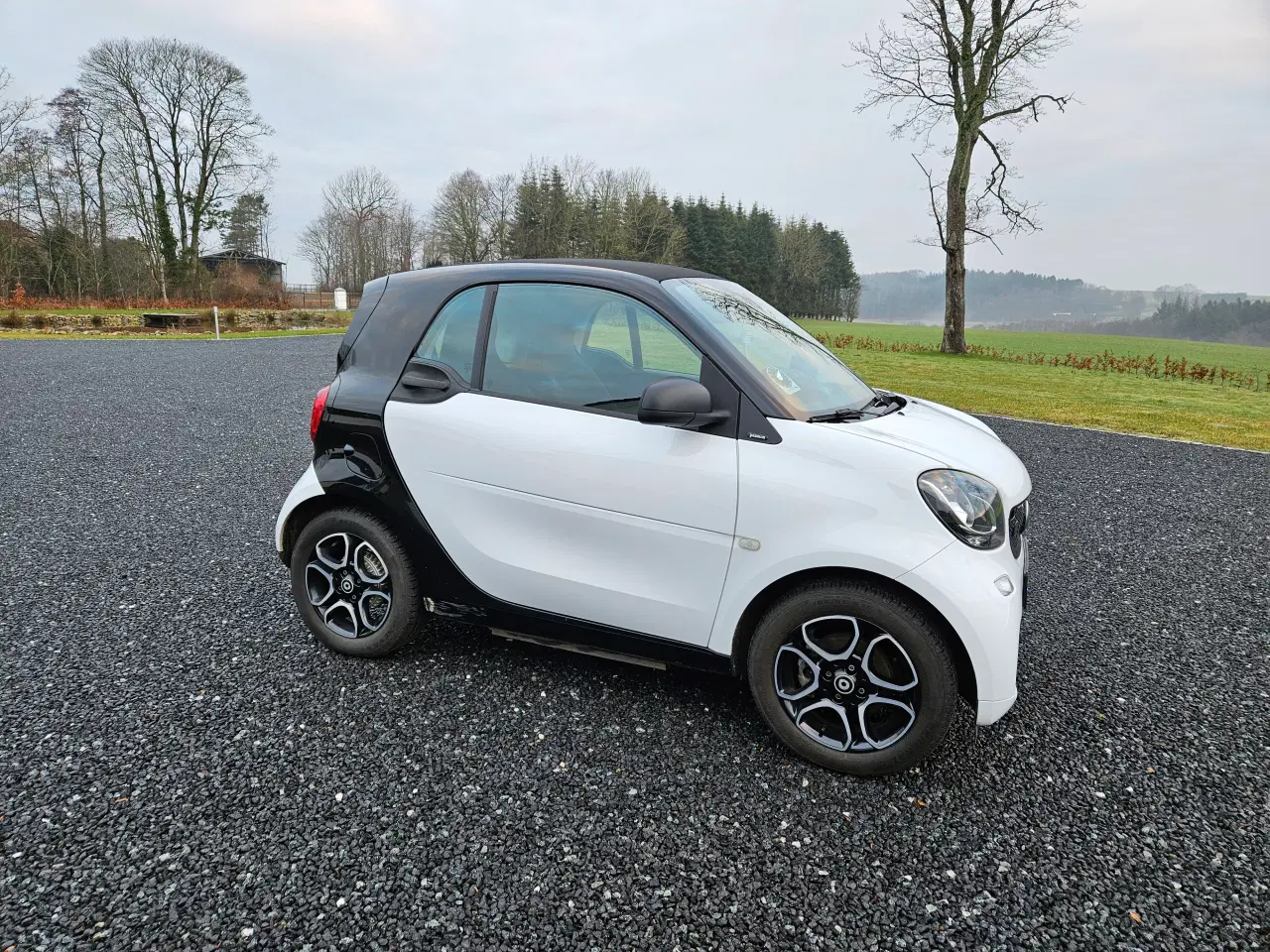 Billede 4 - Smart Fortwo EQ 3d