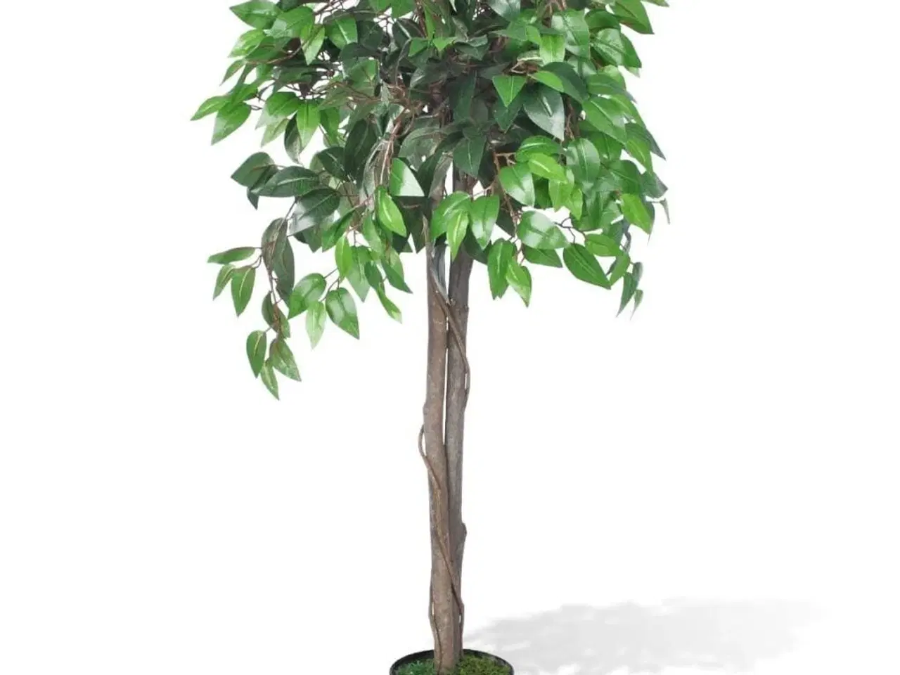 Billede 1 - Kunstig Plante Ficus Træ med Potte 110 cm
