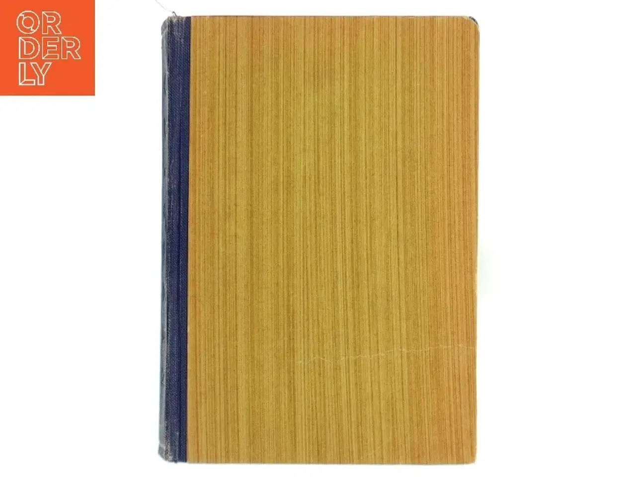 Billede 1 - Odysseen bog