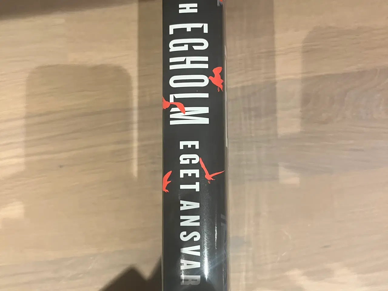 Billede 3 - Elsebeth Egholm - Eget ansvar