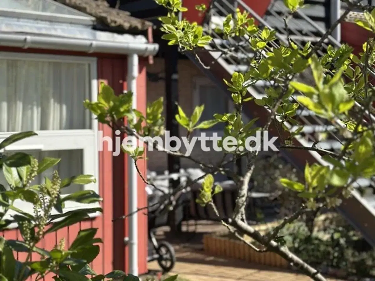 Billede 4 - Hjembytte - Højsletten