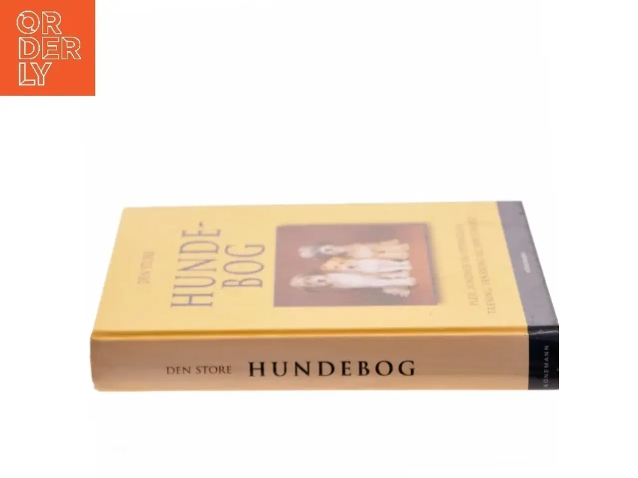 Billede 2 - Den store hundebog : pleje, sundhed og opdragelse, træning, ernæring og førstehjælp (Bog)