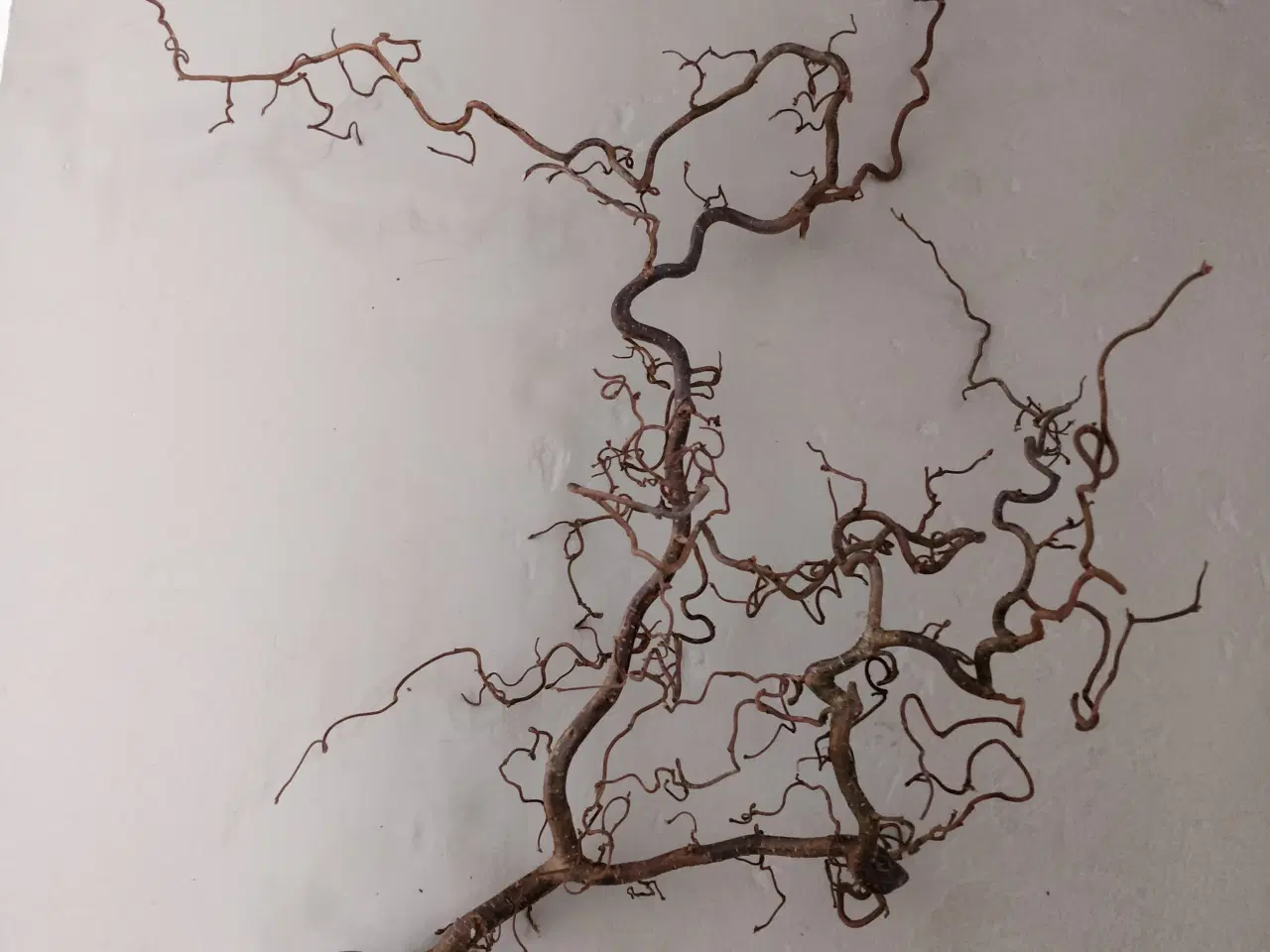 Billede 1 - Troldegren