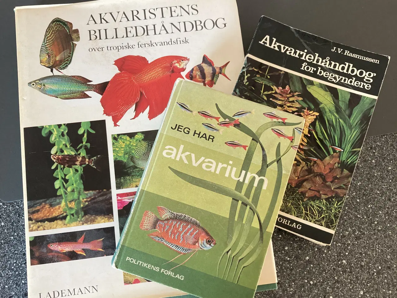 Billede 5 - Akvarie med tilbehør 