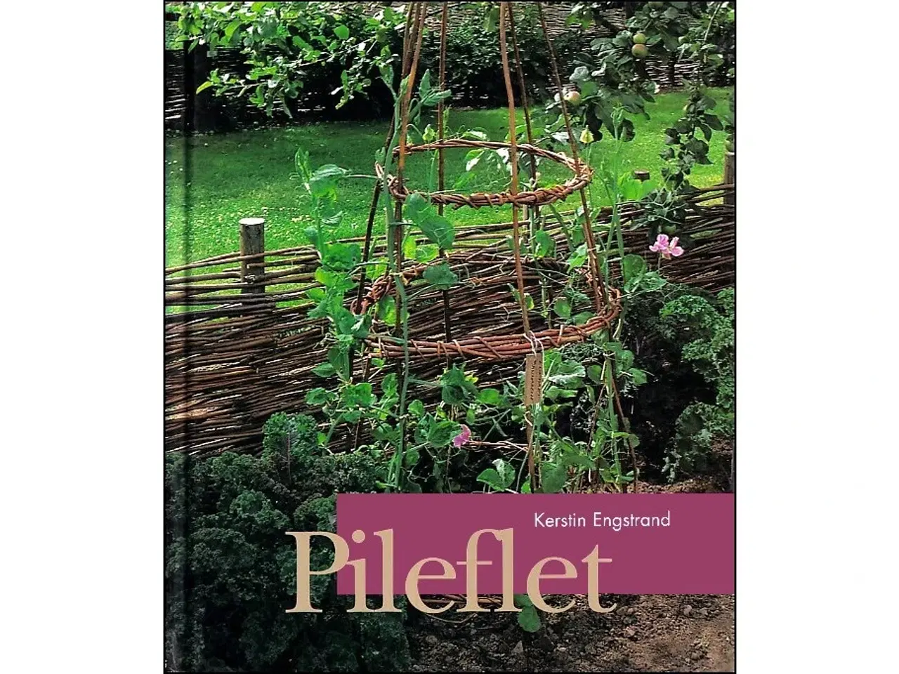 Billede 1 - Pileflet