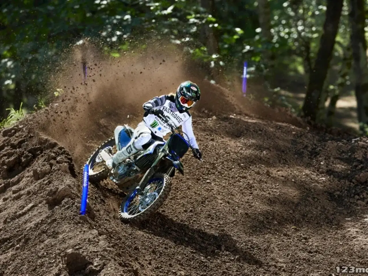 Billede 4 - Yamaha YZ 250 F Monster Energy Yamaha Racing Edition