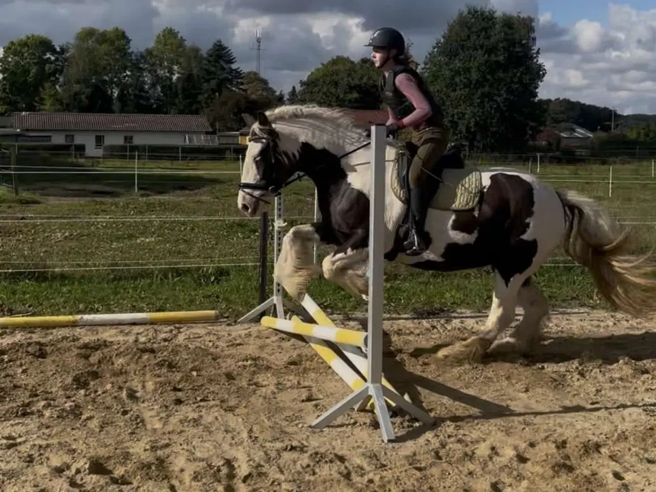 Billede 2 - Smuk tinker hoppe 