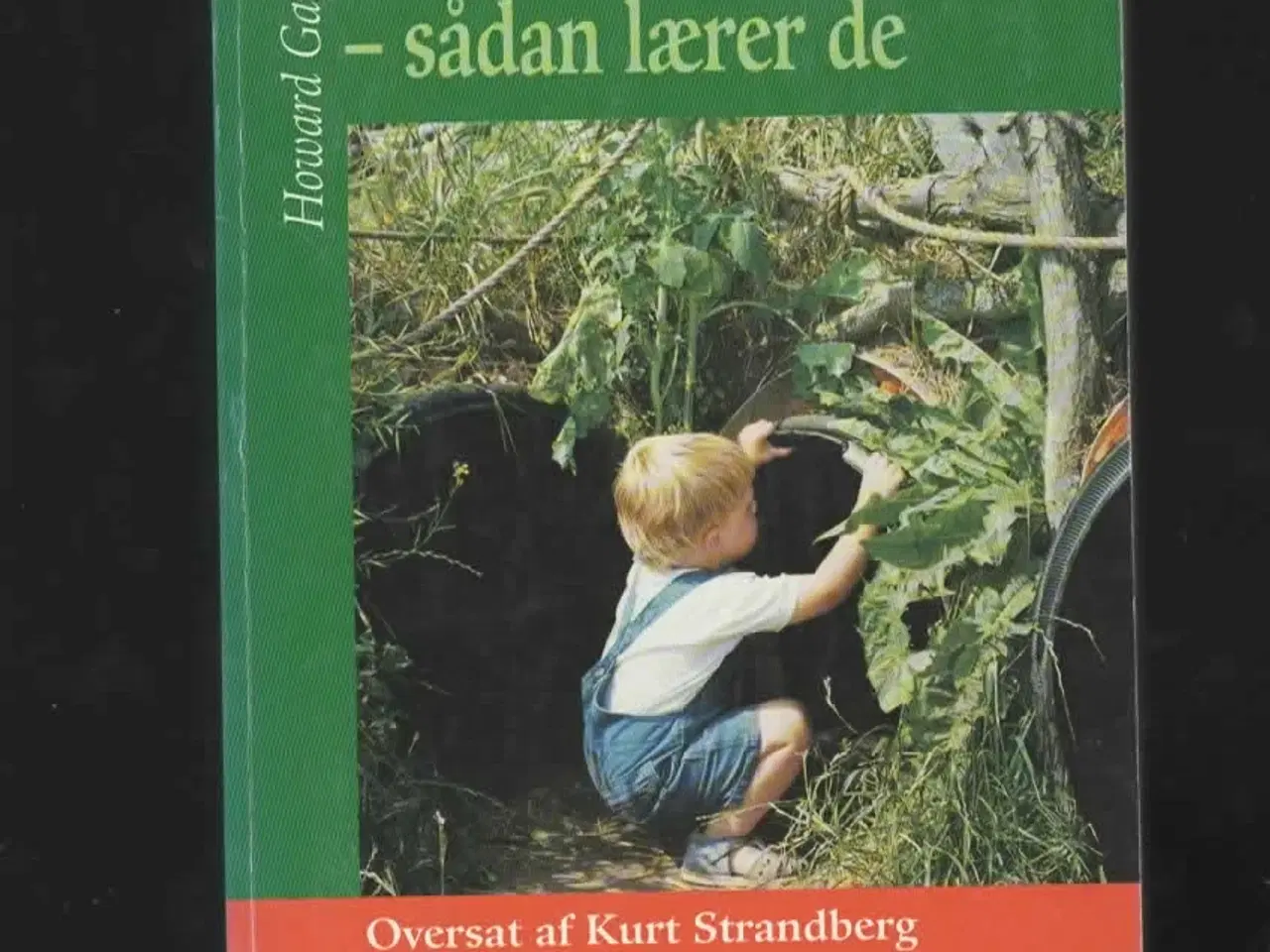 Billede 1 - pædagogik