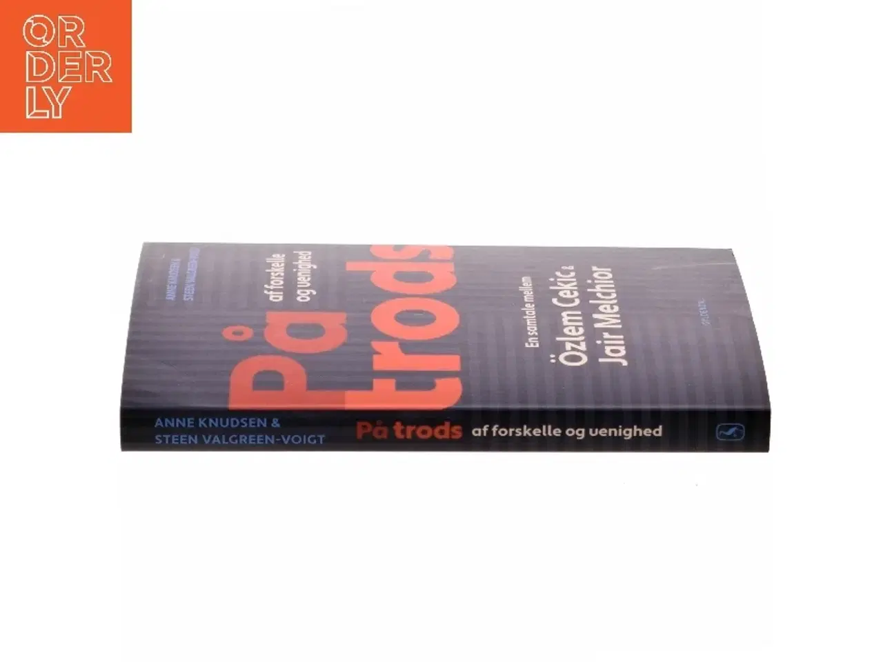 Billede 2 - På trods af forskelle og uenighed : en samtale mellem Özlem Cekic og Jair Melchior af Anne Knudsen (f. 1956) (Bog)