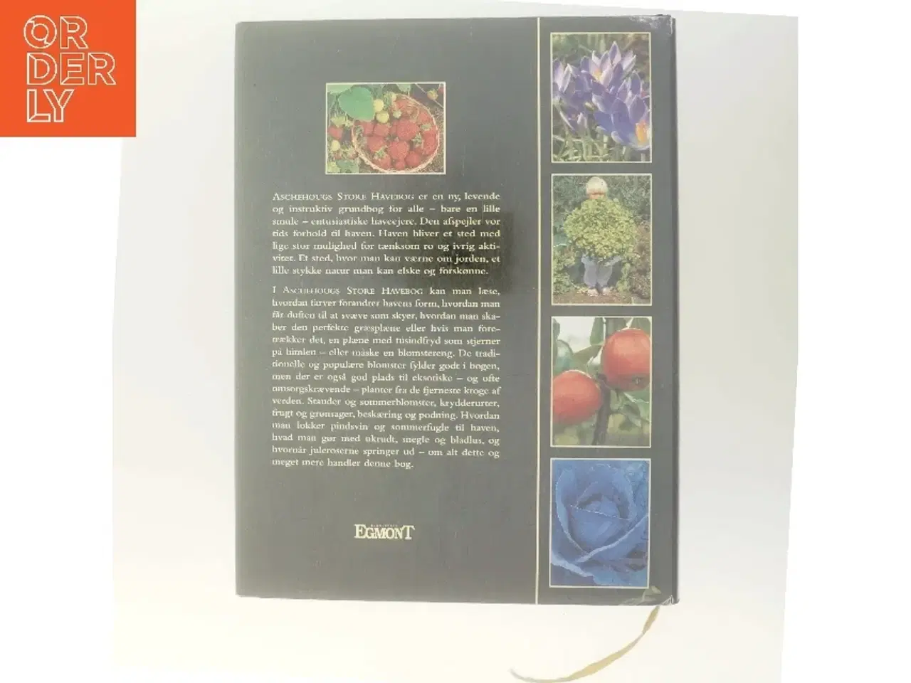 Billede 3 - Aschehougs Store Havebog af Karin Berglund (Bog)