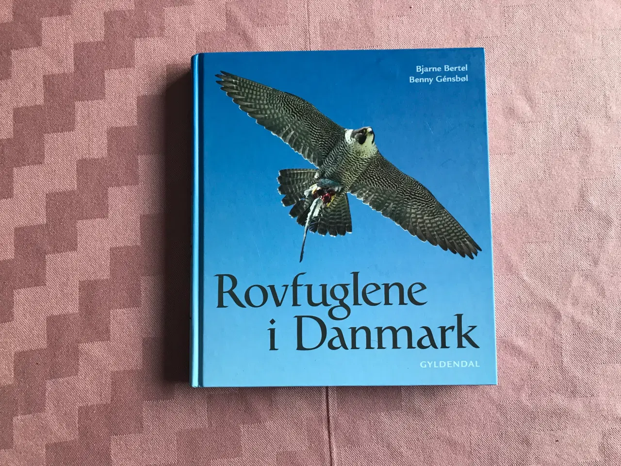 Billede 1 - Rovfuglene i Danmark