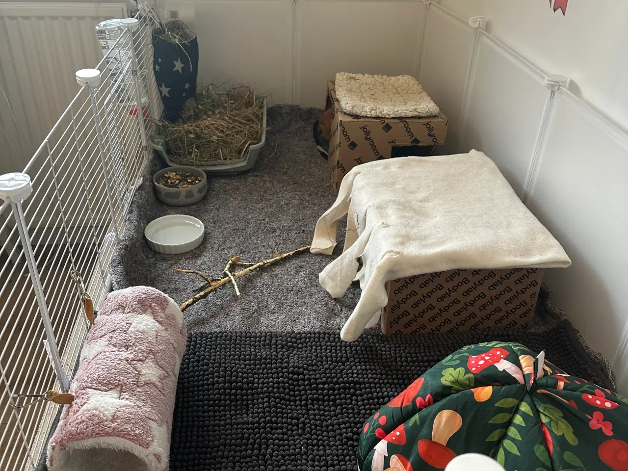 Billede 8 - To søde han marsvin søger nyt hjem