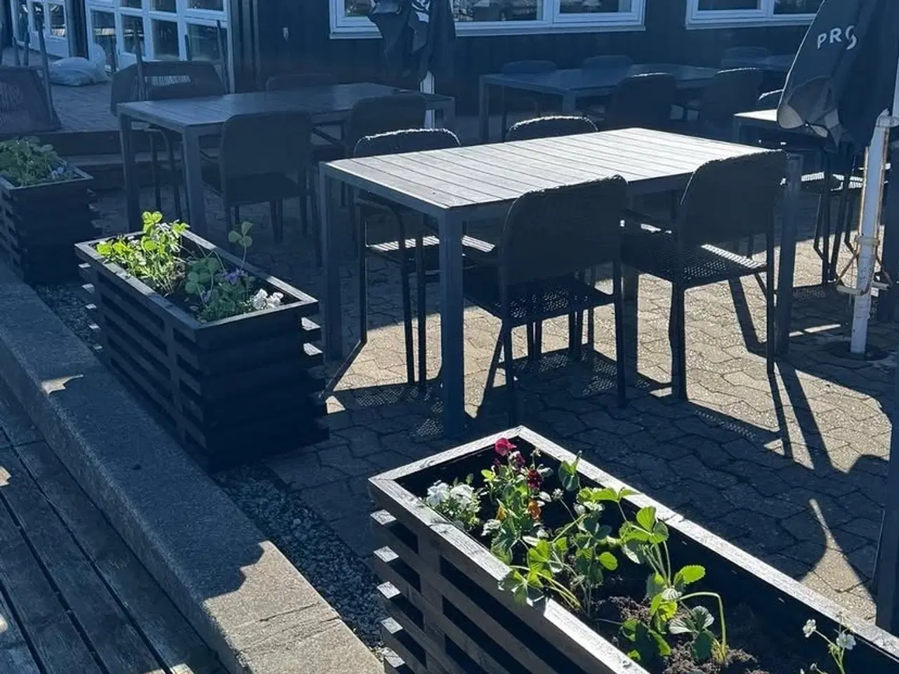 Billede 9 - Plantekasser. Espalier. På mål.