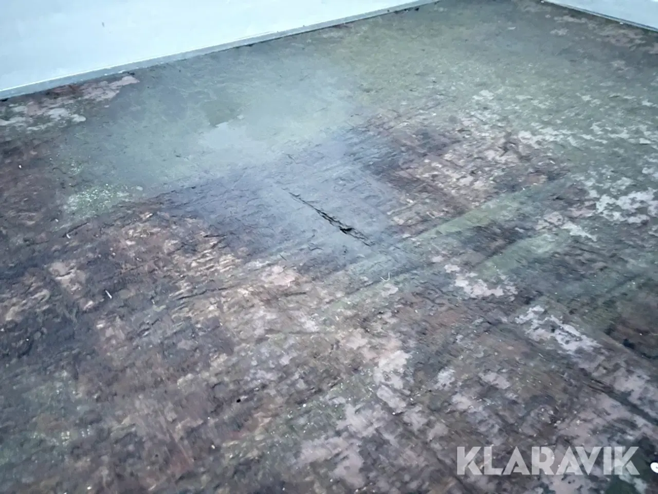 Billede 9 - Trailer Variant 3521 Pro-line