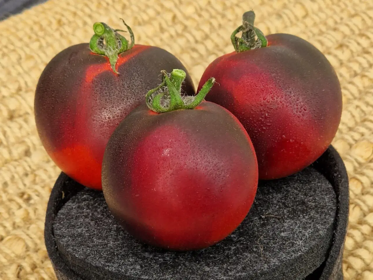 Billede 11 - 300 tomatsorter - FRØ shop!