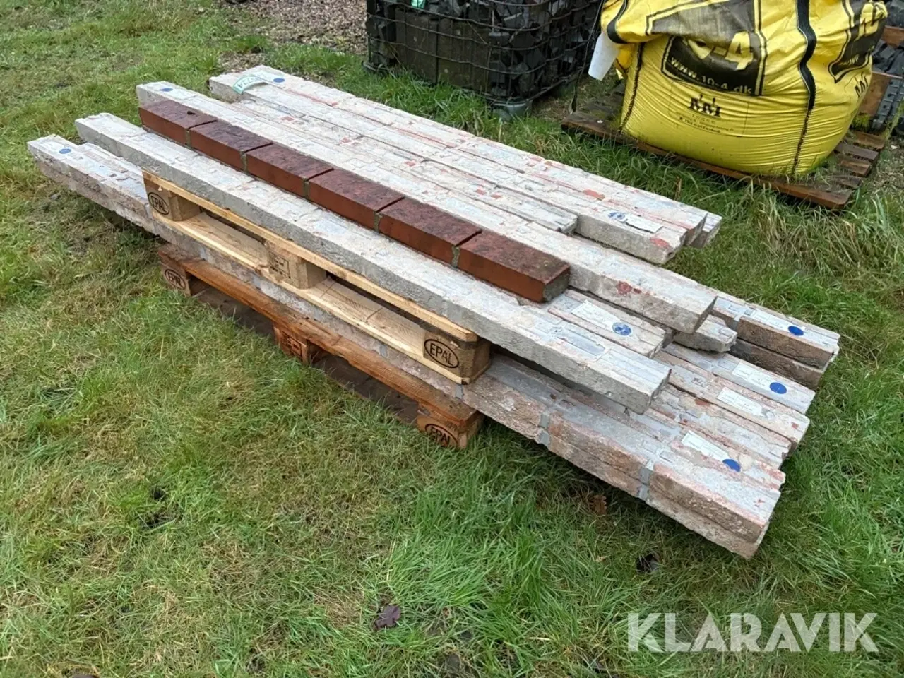 Billede 3 - Overlæggere 21 styk