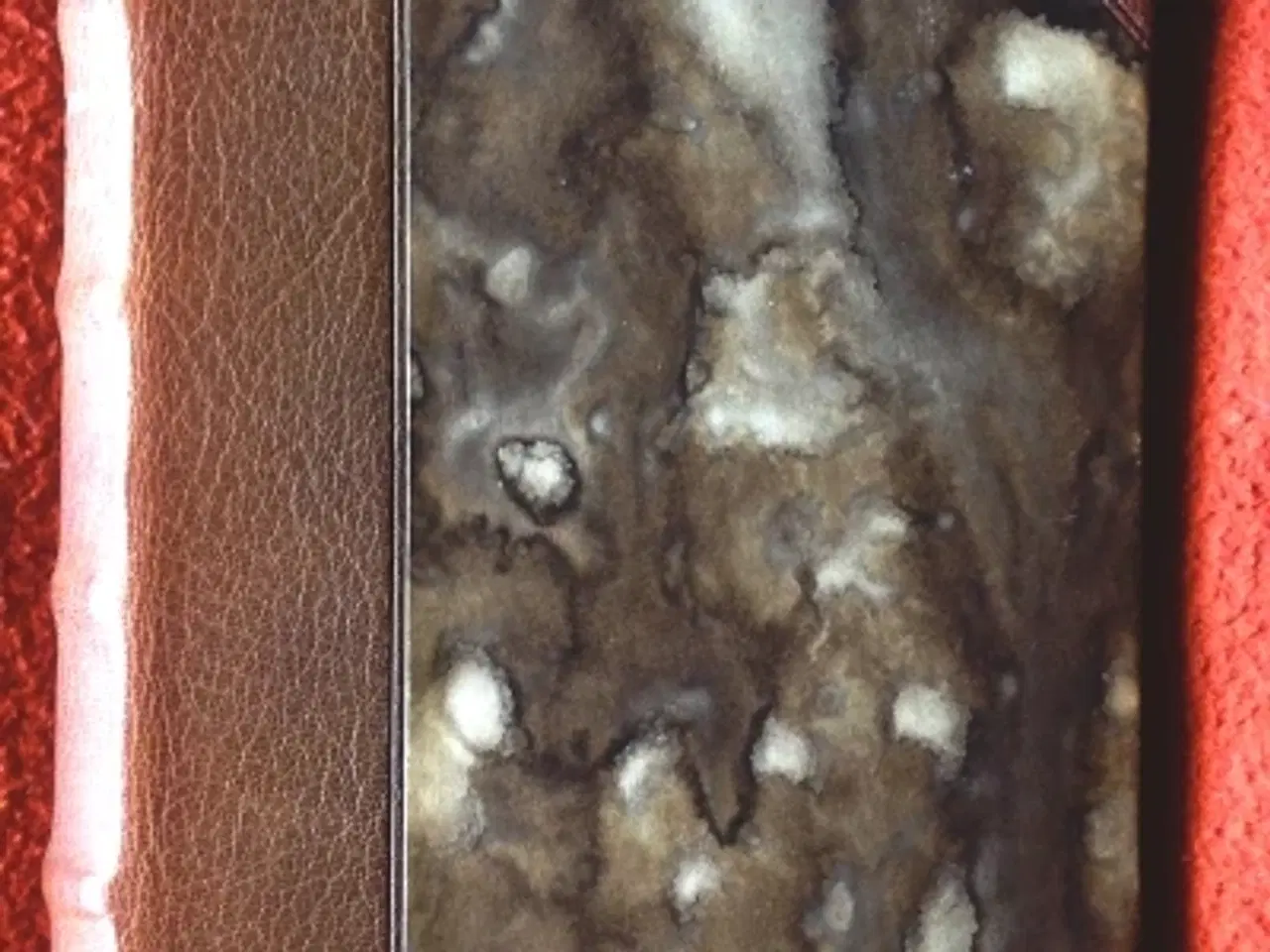 Billede 1 - Vilhelm Topsøe: Jason med det gyldne Skind