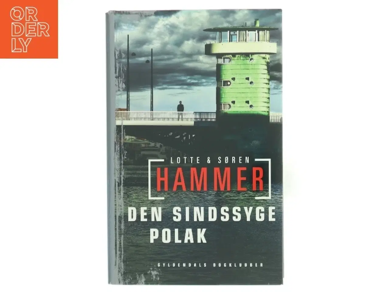Billede 1 - Den sindssyge polak : kriminalroman af Lotte Hammer (Bog)