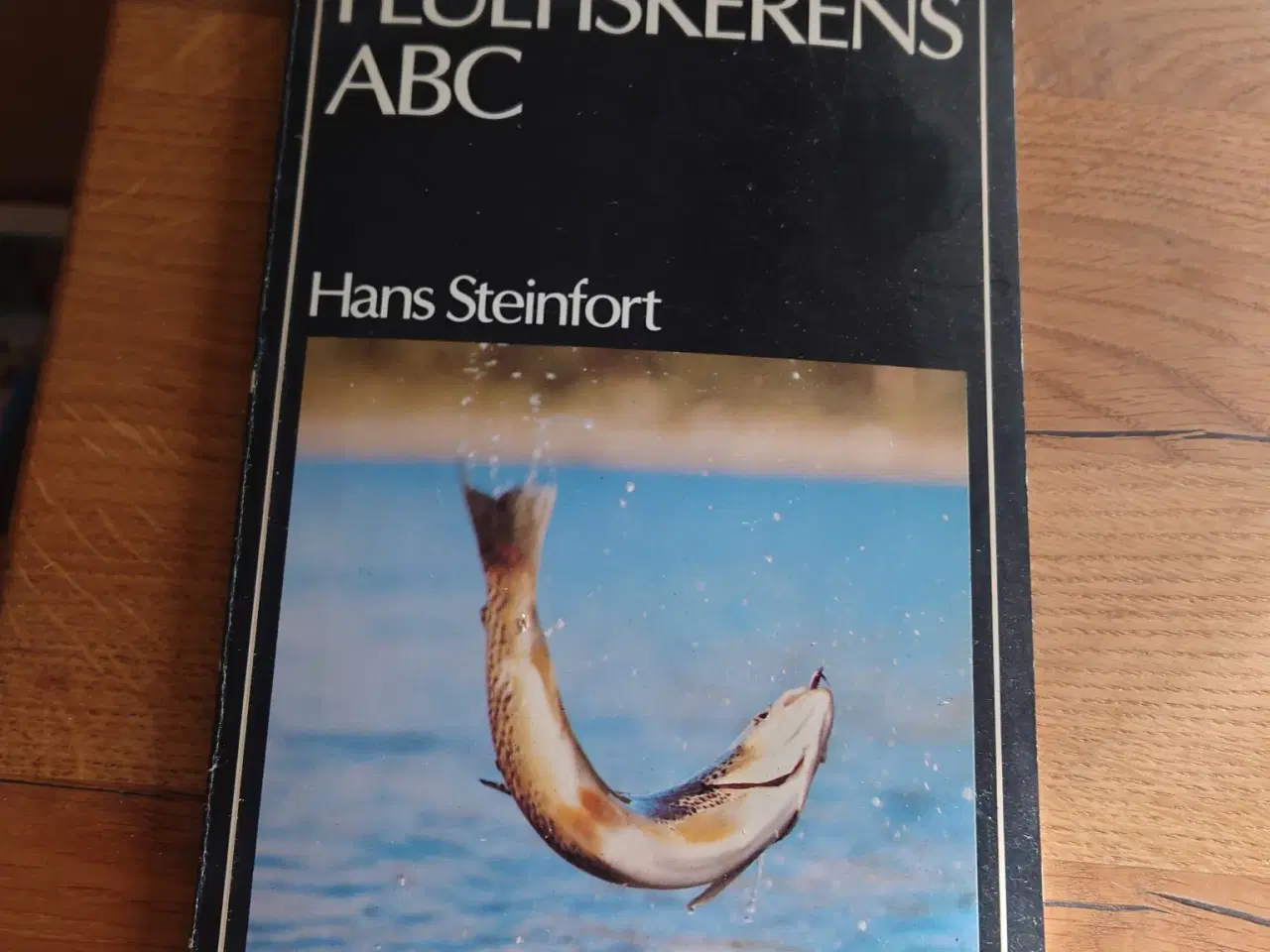 Billede 3 - FLUEFISKERENS ABC – Hans Steinfort