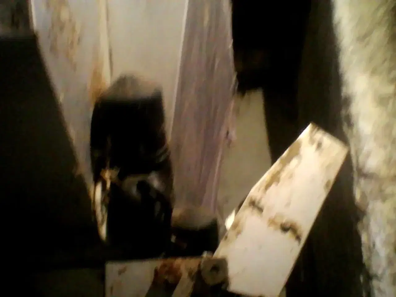 Billede 2 - Alfa Laval Feedcar