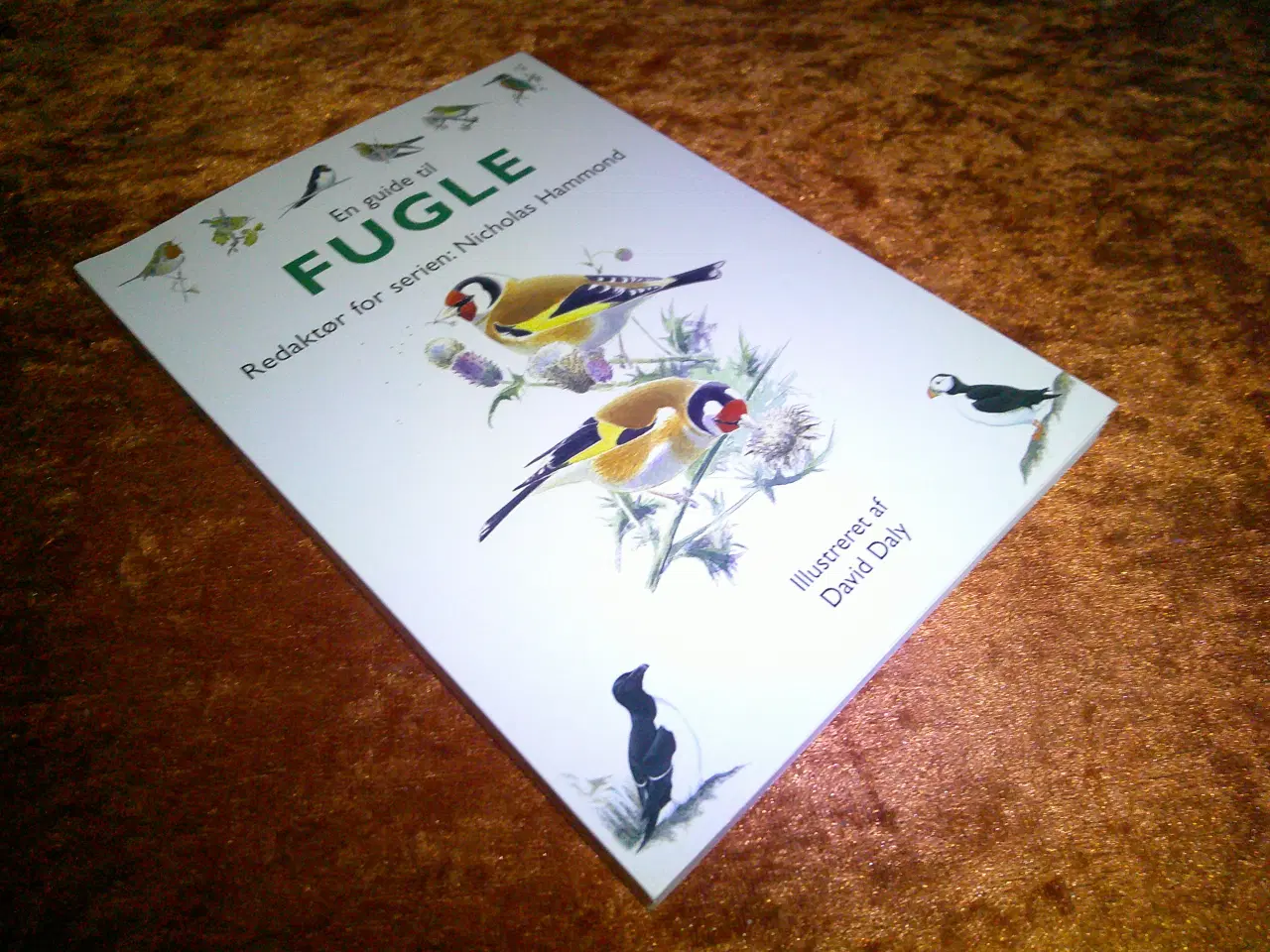 Billede 1 - En guide til fugle, Nicholas Hammond