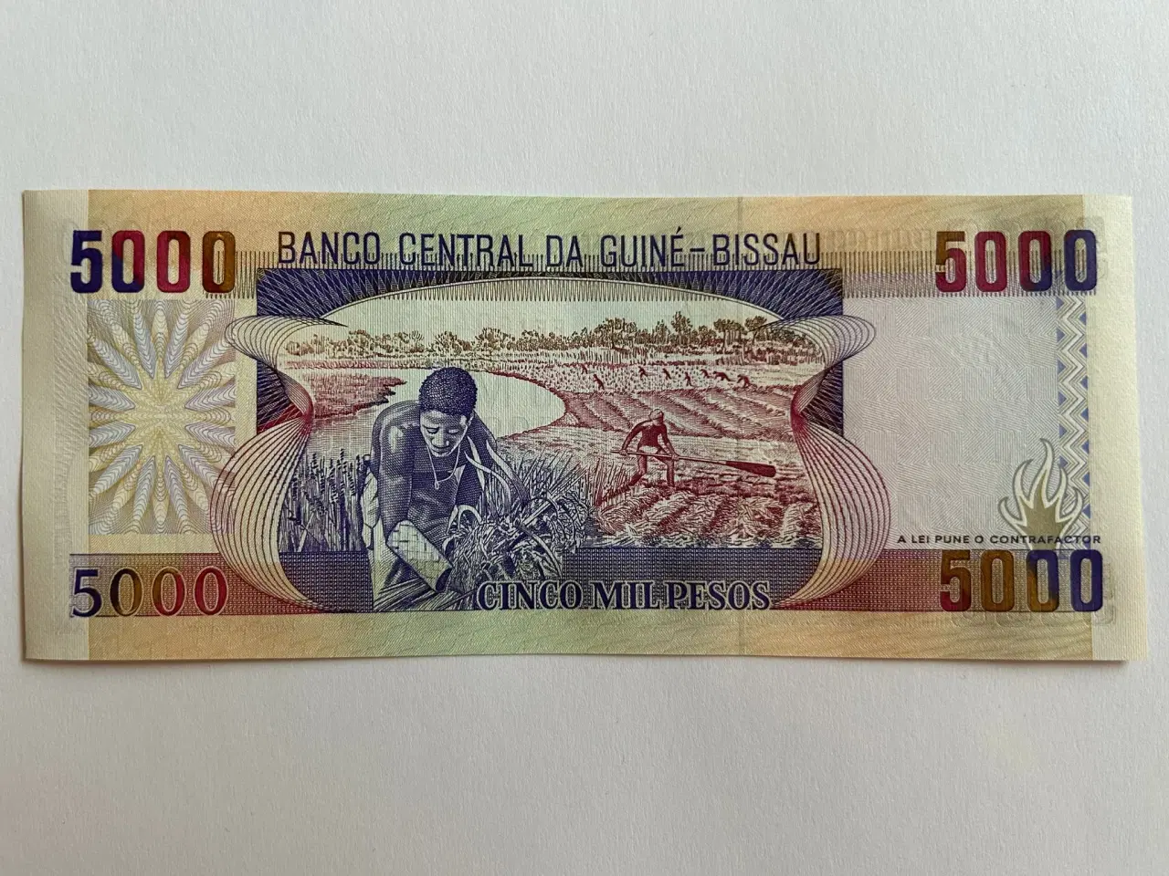 Billede 2 - 5000 Pesos Guinea-Bissau 1993