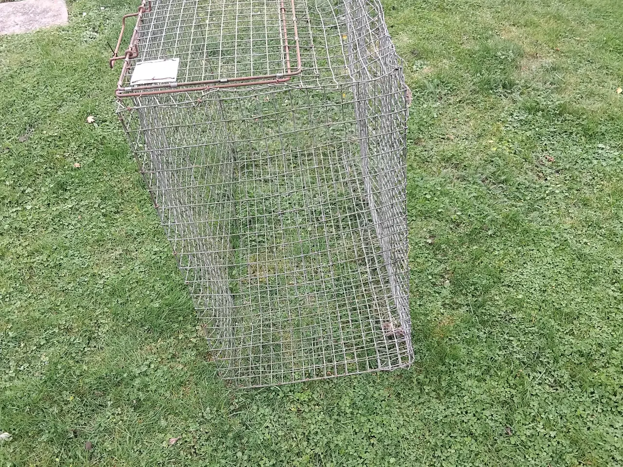Billede 3 - ståltrådsbur