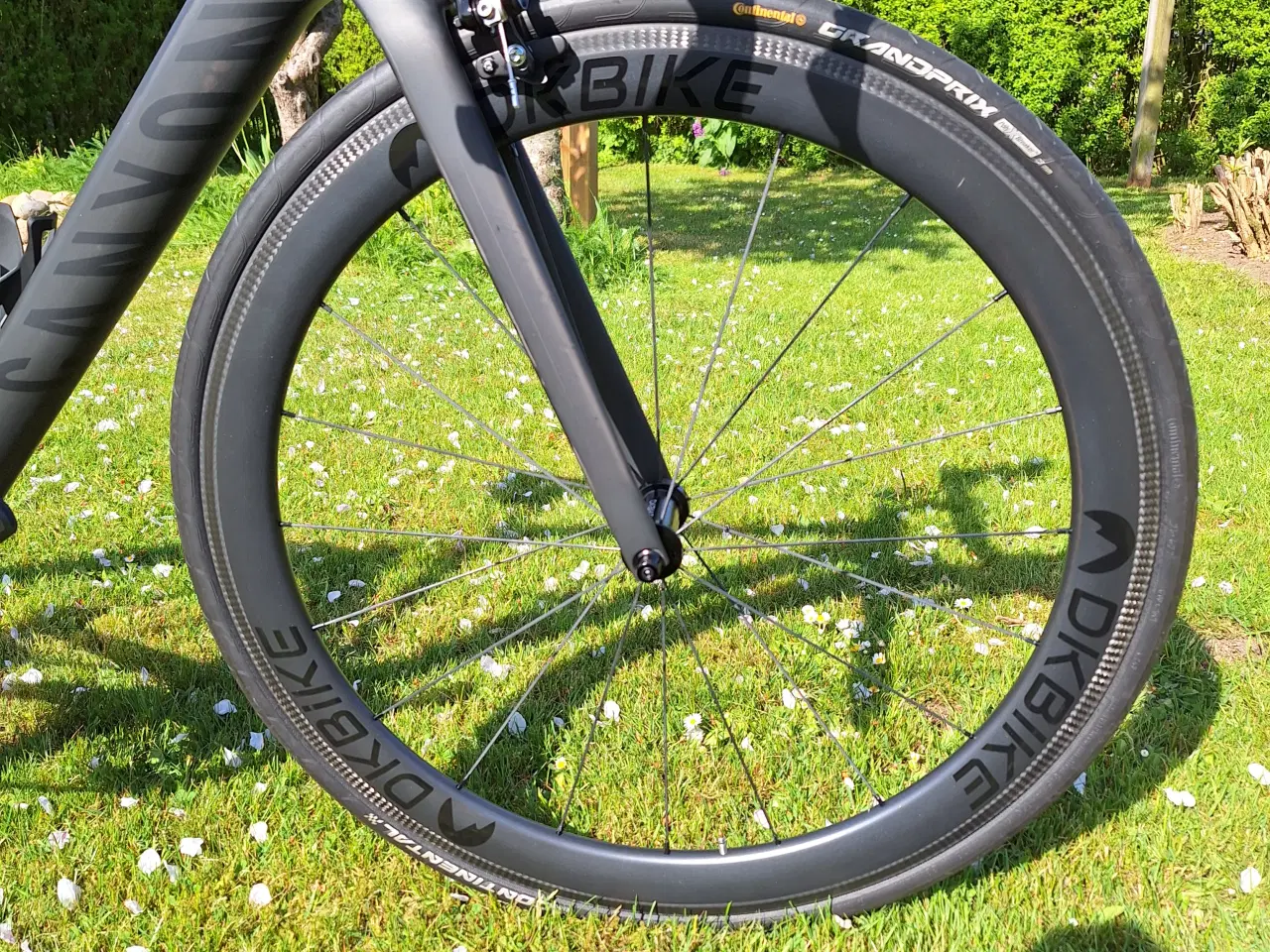 Billede 6 - Canyon Ultimate CF SL