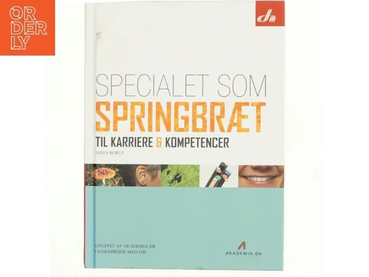 Billede 1 - Specialet som springbræt til karriere & kompetencer af Niels Borup (Bog)