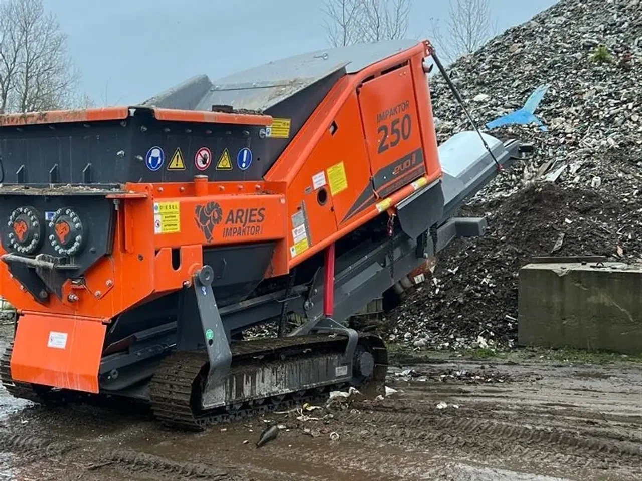 Billede 2 - - - - ARJES EVO 2