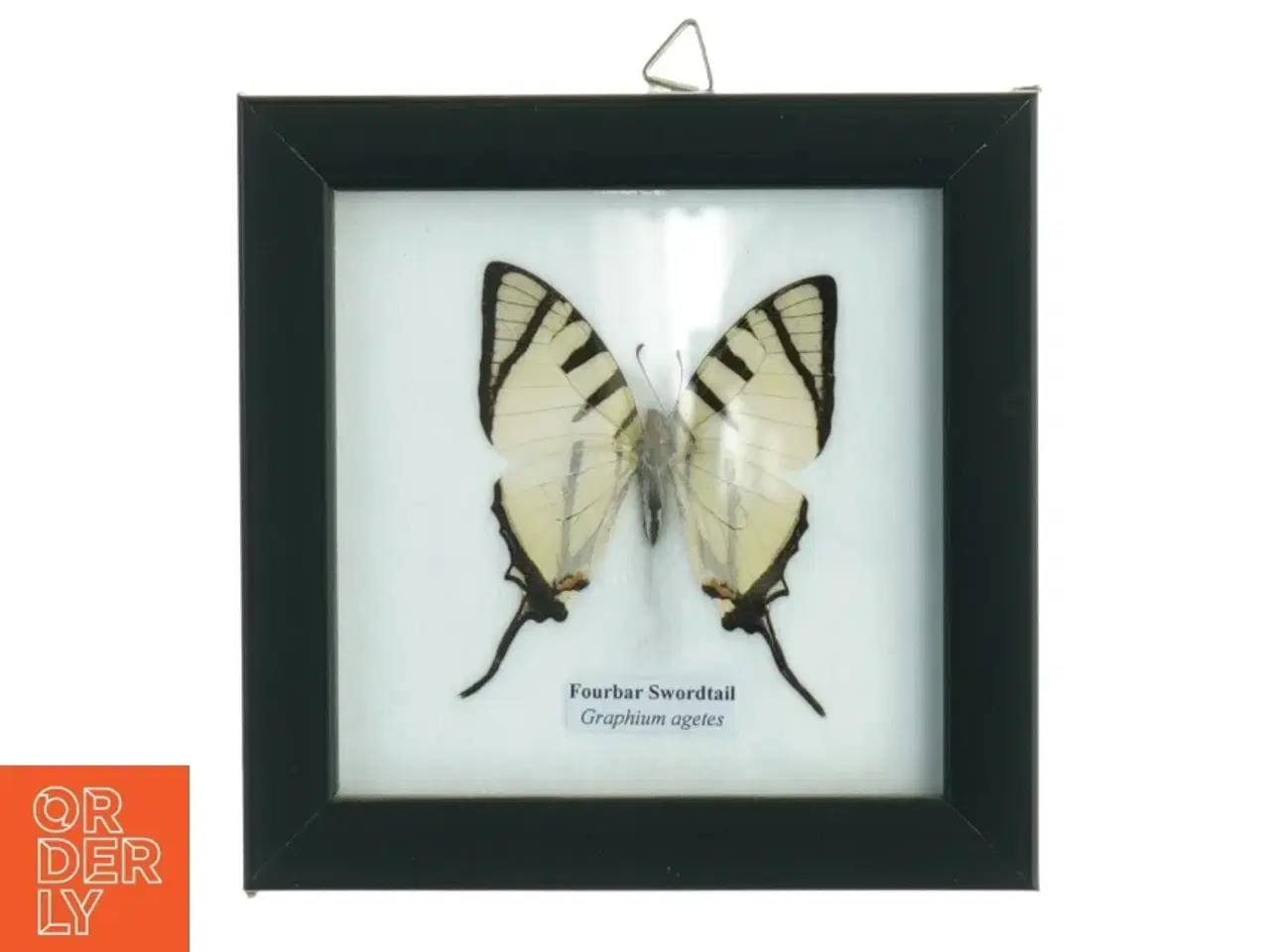 Billede 1 - Indrammet sommerfugl (str. 12 x 12 cm)