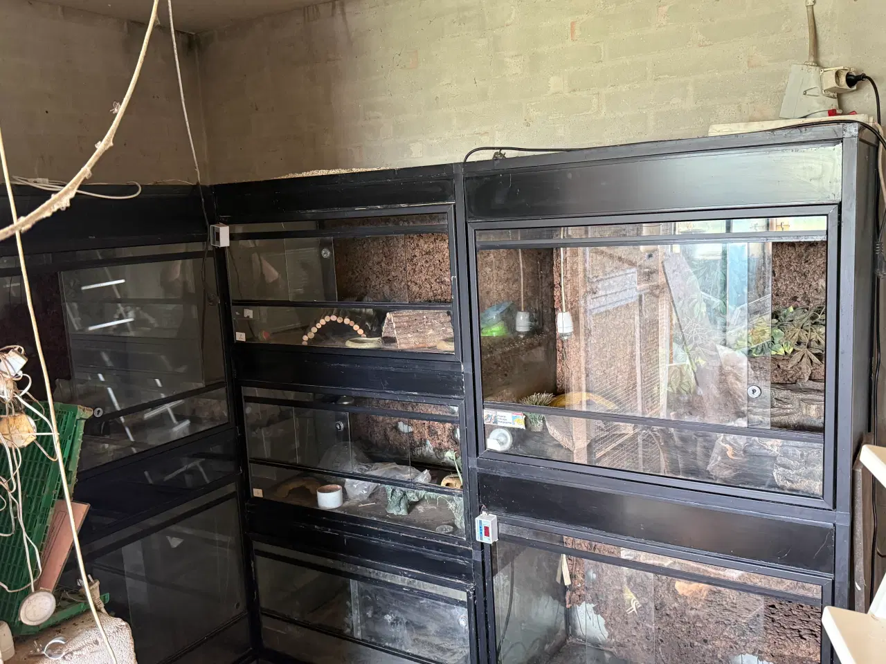 Billede 1 - Stor terrarie-reol med 7 terrarier og masser af ud