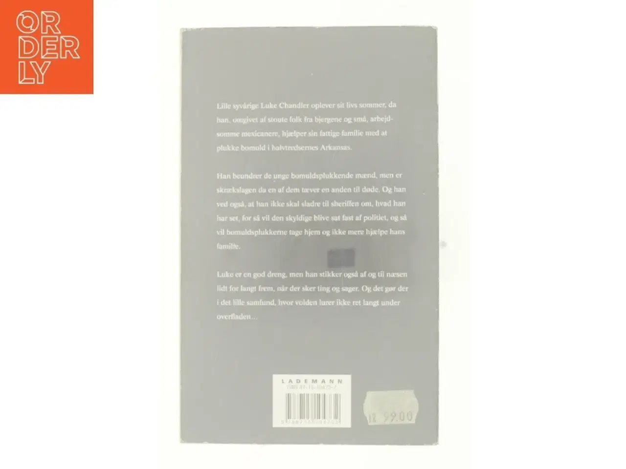 Billede 3 - Et malet hus af John Grisham