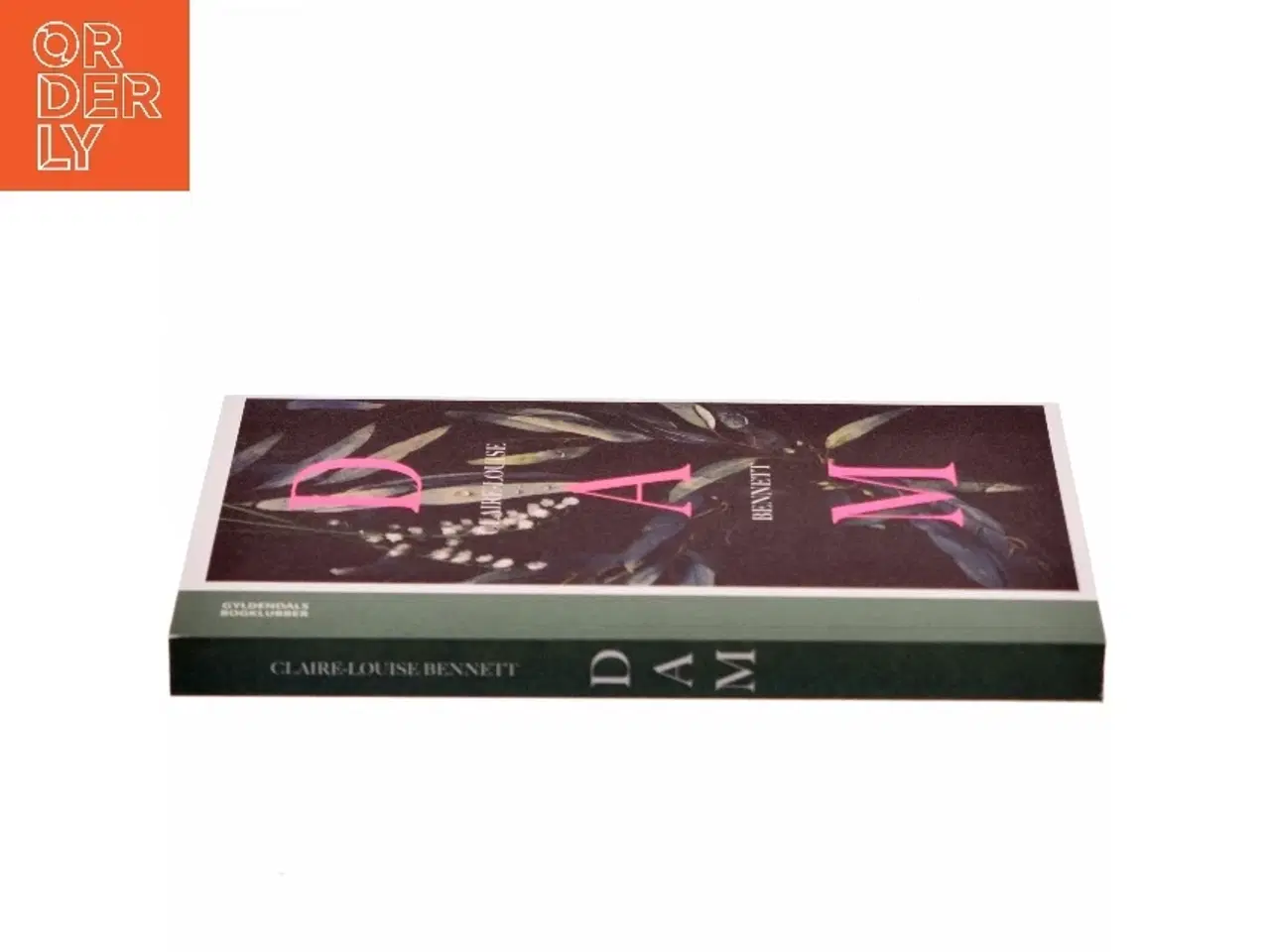 Billede 2 - Dam af Claire-Louise Bennett (Bog)