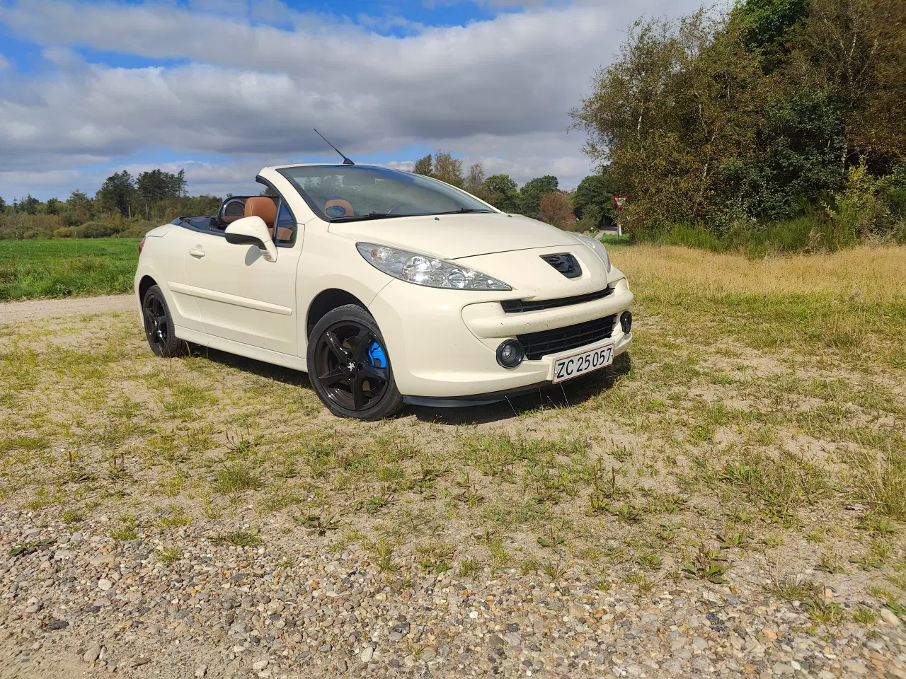 Billede 2 - Peugeot 207 cc