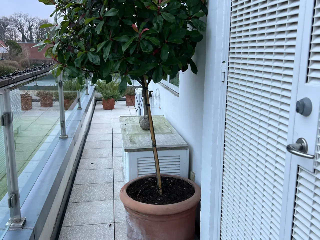 Billede 1 - 11 stk. terracotta krukker (+ 3 stk. gratis)