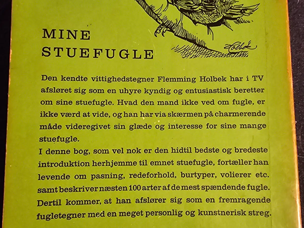 Billede 2 - Mine stue fugle