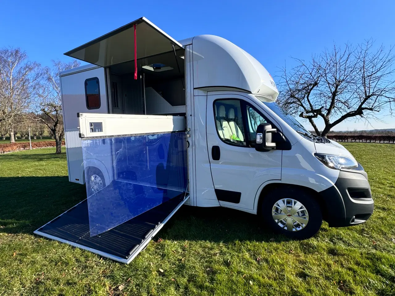 Billede 3 - NY Böckmann Compact Stall hestetransporter