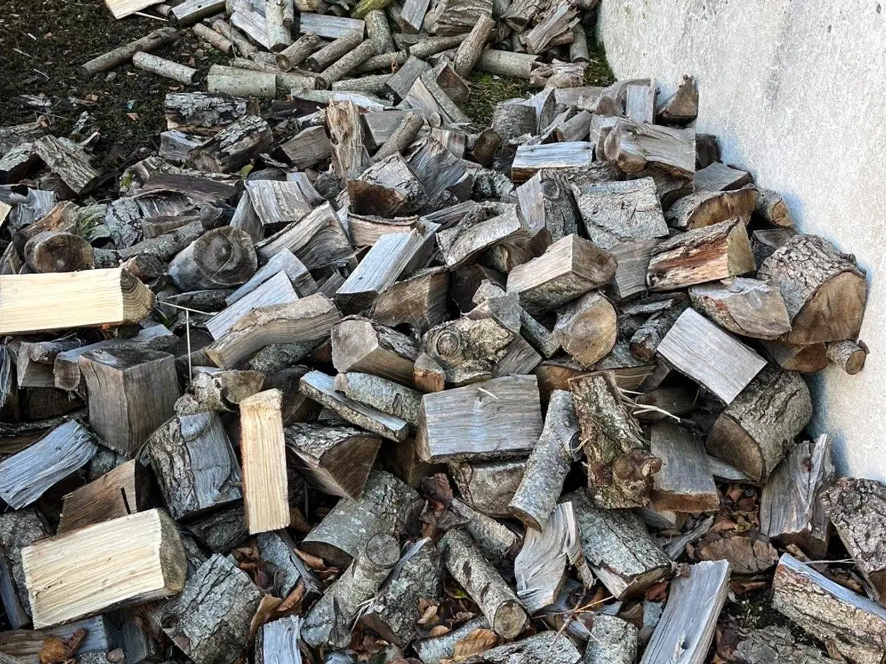 Billede 2 - Grantræ kløvet og næsten tørt