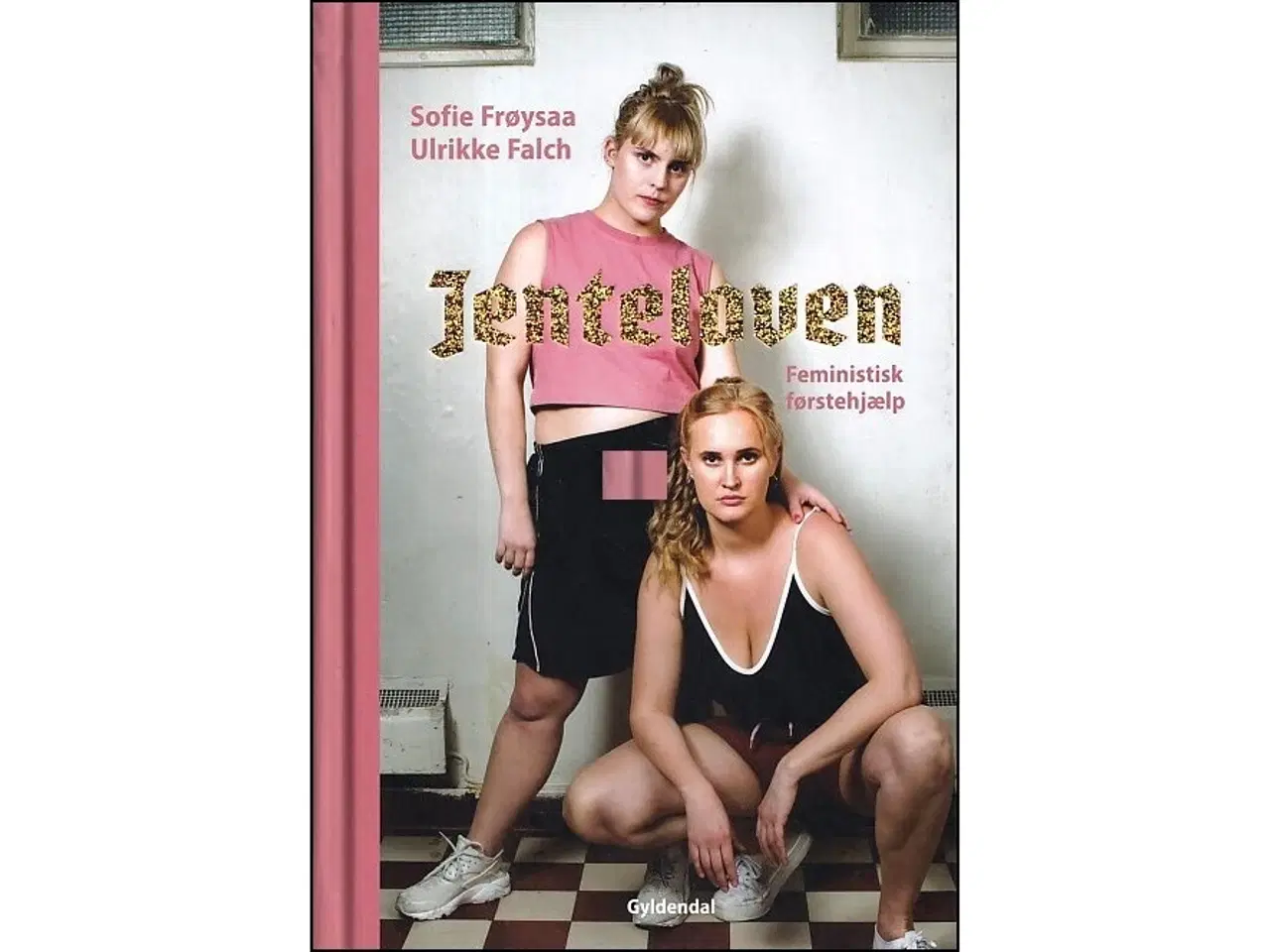 Billede 1 - Jenteloven - Feministisk førstehjælp