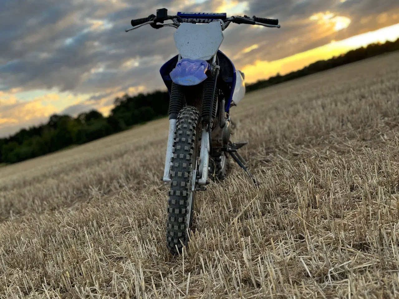 Billede 6 - Yamaha  ttr 125 2008