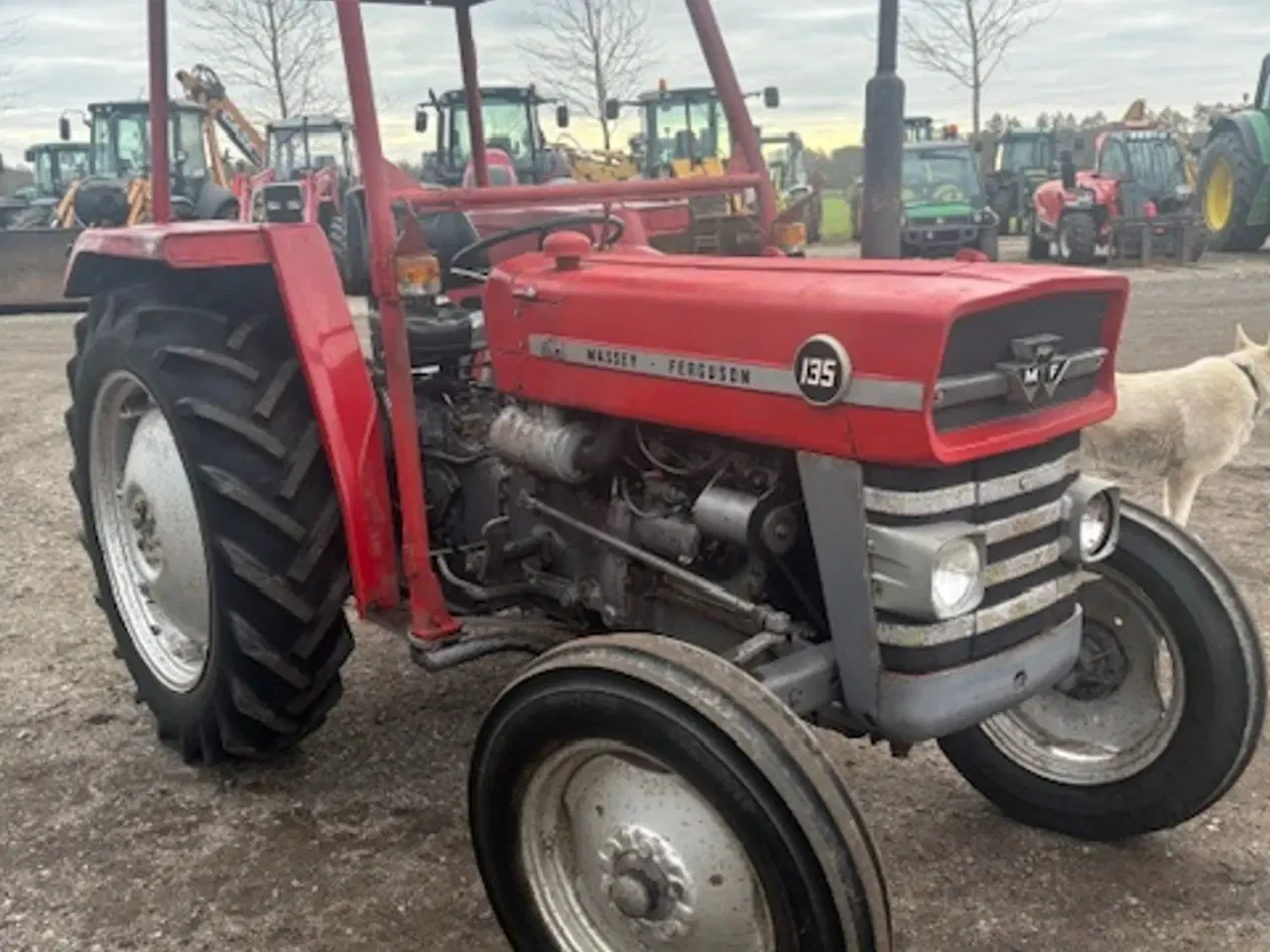 Billede 3 - Massey Ferguson 135 3 CYLINDRET, 6100 TIMER