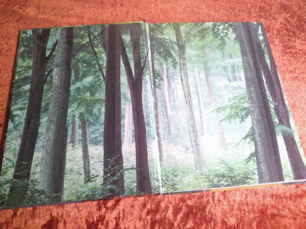 Billede 2 - Børnenes naturbog, Trine Sørensen