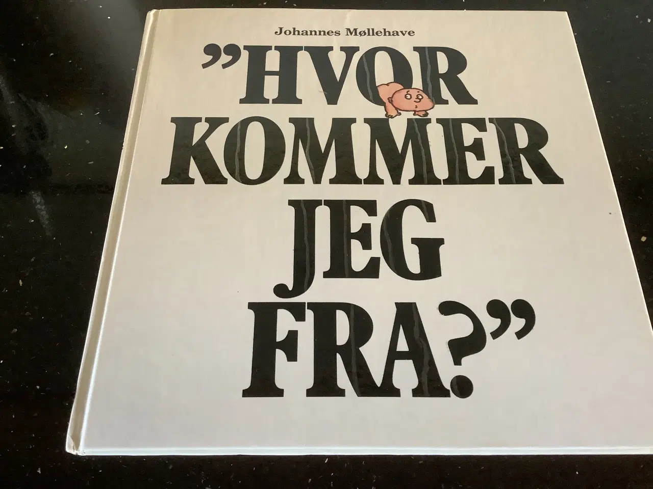 Billede 1 - Johannes Møllehave “Hvor kommer jeg fra”