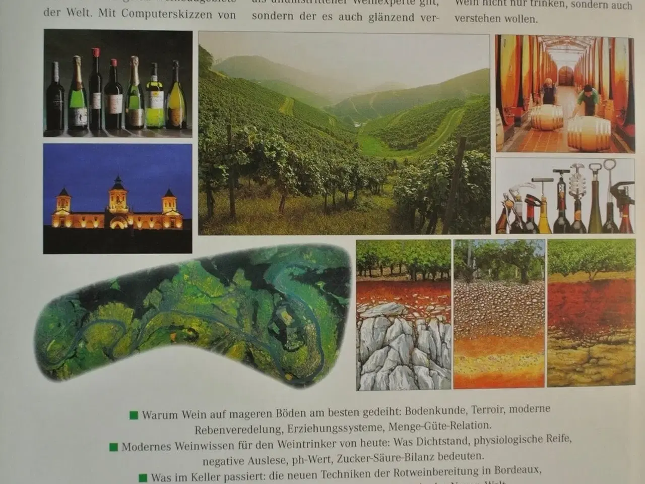 Billede 4 - wein - die grosse neue schule, von jens priewe, em