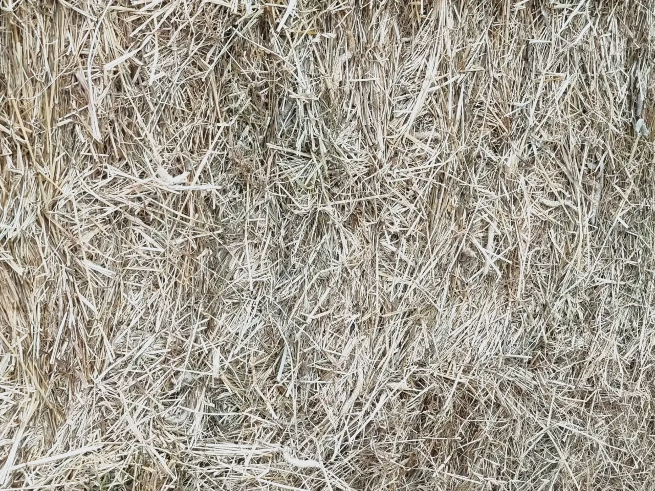 Billede 1 - Hø